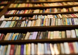 beste nederlandstalige boeken