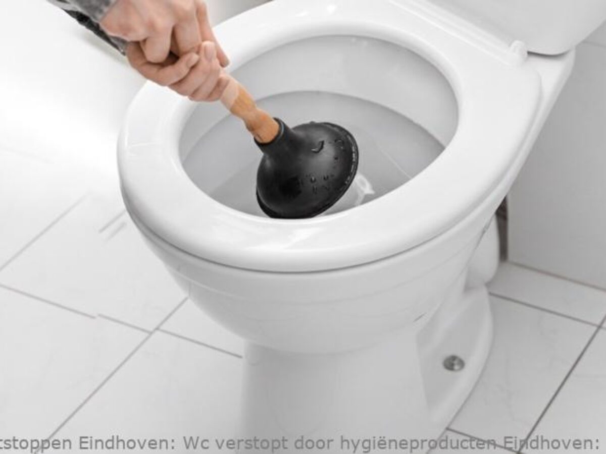 wc verstopt tips